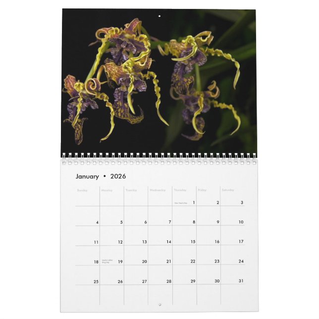 Dave's Garden 2013 Calendar (Jan 2026)