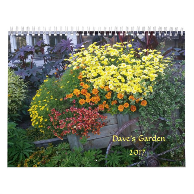 Dave's Garden 2017 Calendar (Cover)