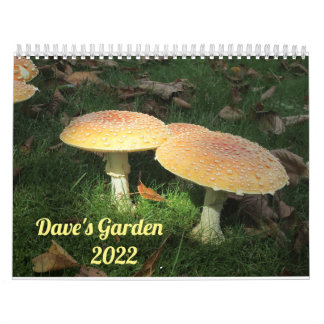 Dave's Garden 2022 Calendar