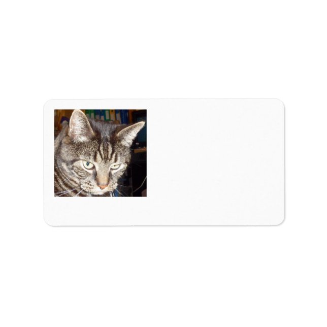 Dave's Watching You Address Labels (Front)
