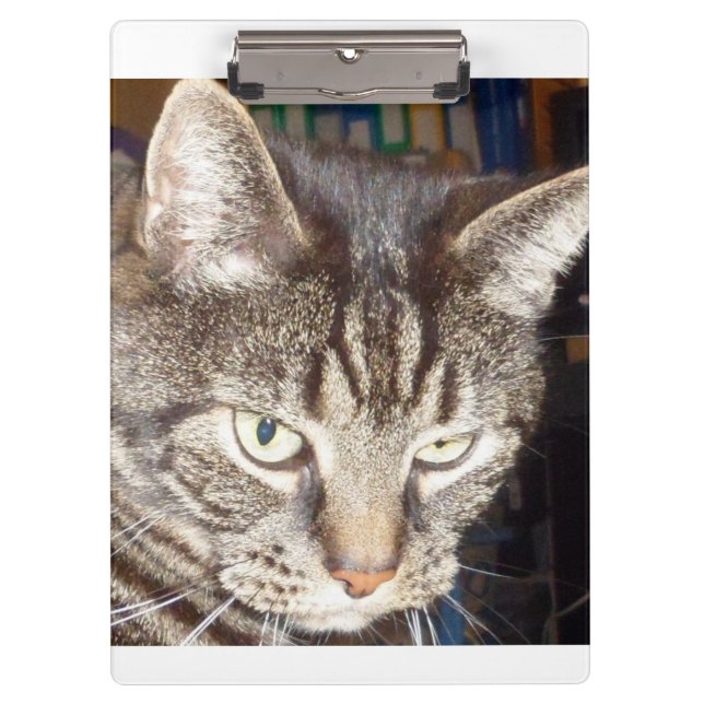 Dave's Watching You Clipboards (Front)