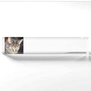 Dave's Watching You Desk Nameplate
