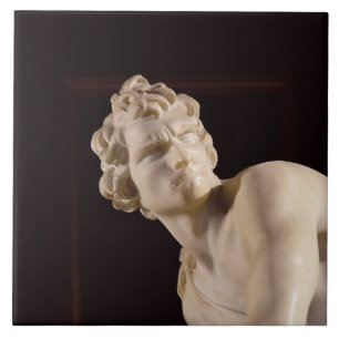 David, 1623-24 (marble) (detail) ceramic tile