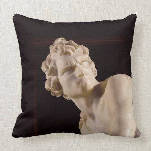David, 1623-24 (marble) (detail) cushion