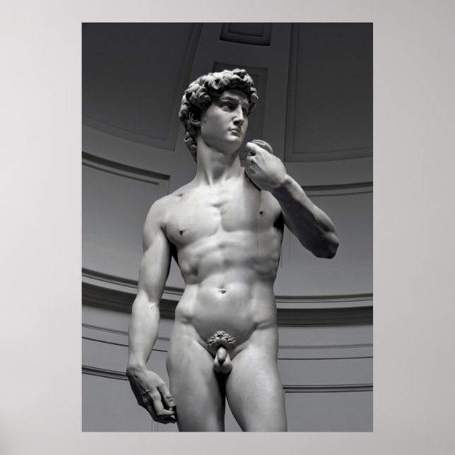 DAVID by MICHELANGELO Poster (Front)