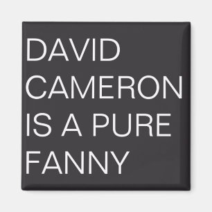 David Cameron Magnet