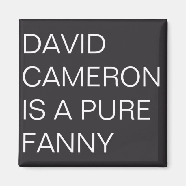 David Cameron Magnet (Front)