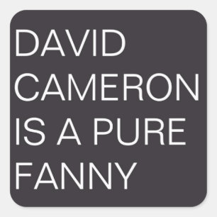 David Cameron Square Sticker
