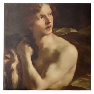 David Ceramic Tile