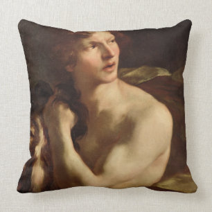 David Cushion