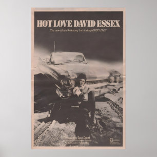 DAVID ESSEX Poster - 1973 original NME - Hot Love