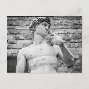 David (Michelangelo) Postcard