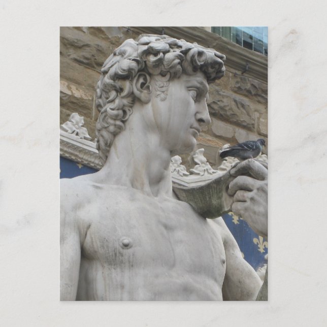 David Statue Michelangelo in Italy Postcard (Front)