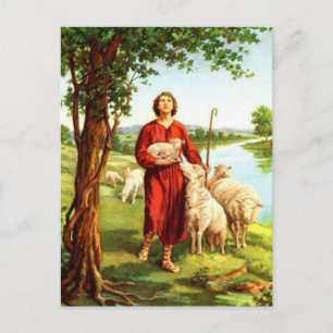 David The Shepherd Postcard