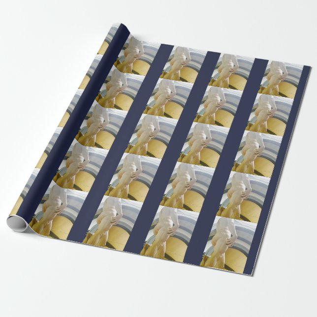 David's Hand Wrapping Paper (Unrolled)