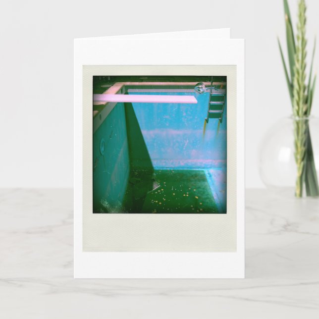 David's Pool 09g05 variation1 3d Computer Art card (Front)