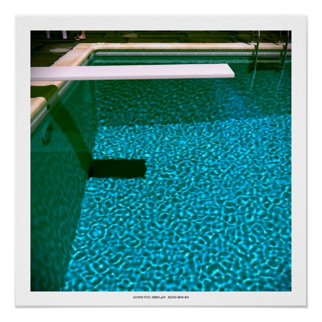 DAVID'S POOL SERIES p09- 3D Computer ART Poster (Front)