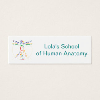 DaVinci Anatomy Man in Chakra Colours