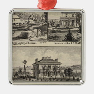 Davis County, Kansas 2 Metal Ornament