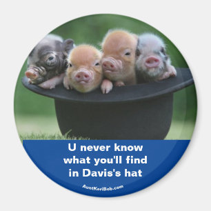 Davis's hat magnet