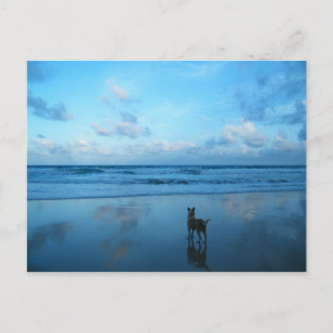 Dawn At Karon Beach, Phuket Island Postcard