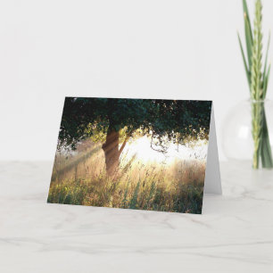 Dawn Deepest Sympathy Card