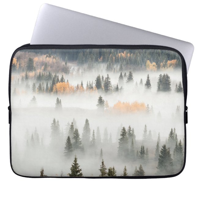 Dawn Ground Fog Covers Mountain Forest (Front)