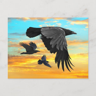 "Dawn Patrol" Postcard