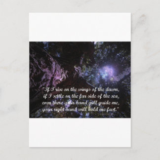 Dawn Rising Postcard