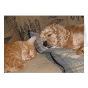 Dax and Chance Share