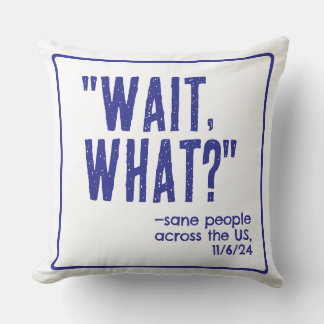 Day After Election Cushion