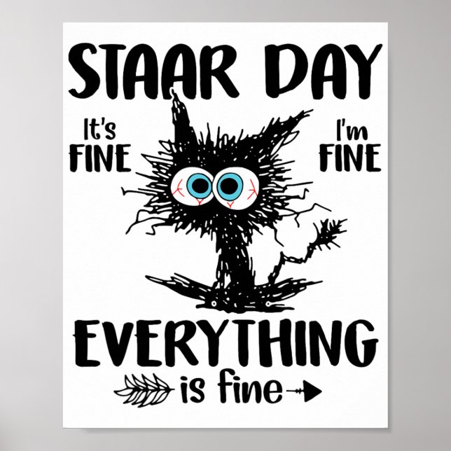 Day Black Cat Teacher Student Kids Staar Testing D Poster (Front)