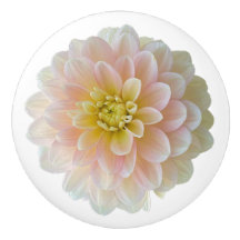 Day Dreamer Waterlily Dahlia