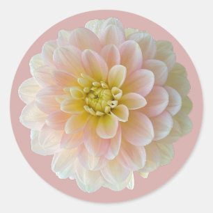 Day Dreamer Waterlily Dahlia Classic Round Sticker