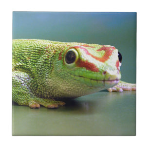 Day Gecko Ceramic Tile