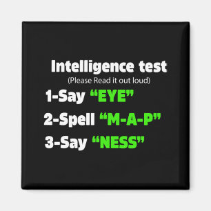 Day Intelligence Test Say Eye M A P Ness Dad Joke Magnet
