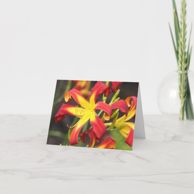 Day Lillies Note Card (Front)