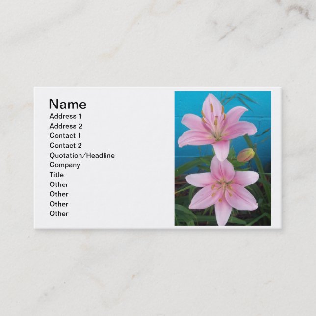 Day Lilly Business Card (Front)