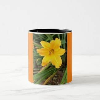 Day Lilly Cup