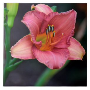 Day Lily Macro image Ceramic Tile