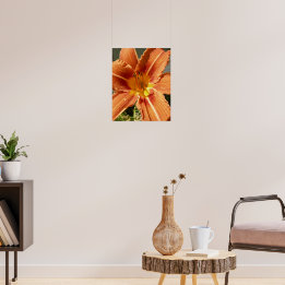Day lily poster