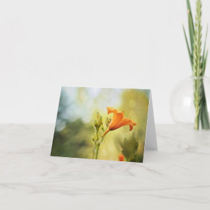 Day Lily Sunrise Note Card