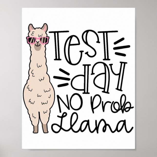 Day No Prob Llama Teacher Testing Day 1  Poster (Front)