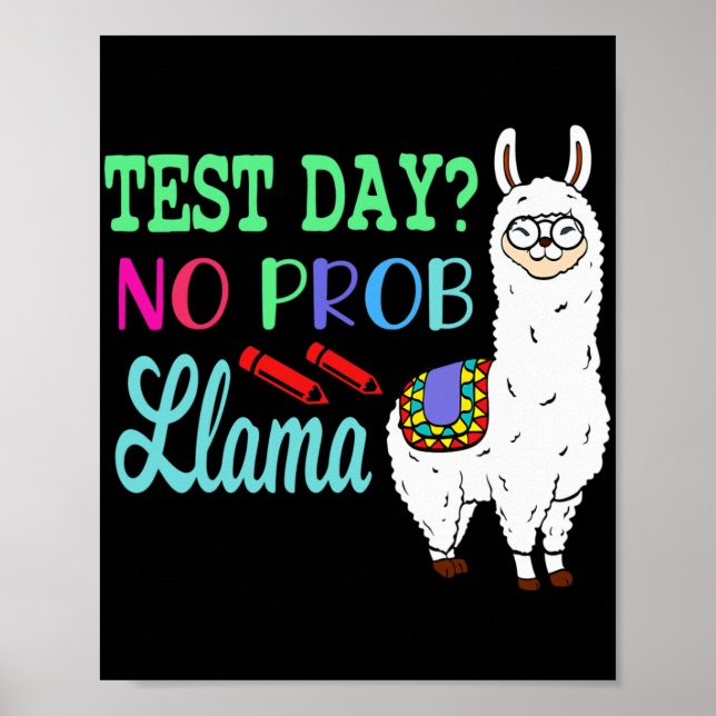 Day No Prob Llama Test Day No Probllama Test Day L Poster (Front)
