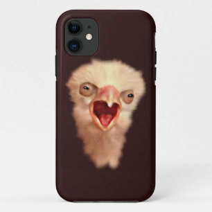 Day Old Falcon Chick iPhone 11 Case