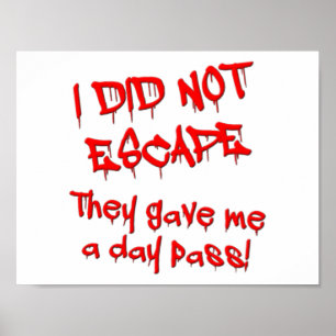 Day Pass Funny Poster