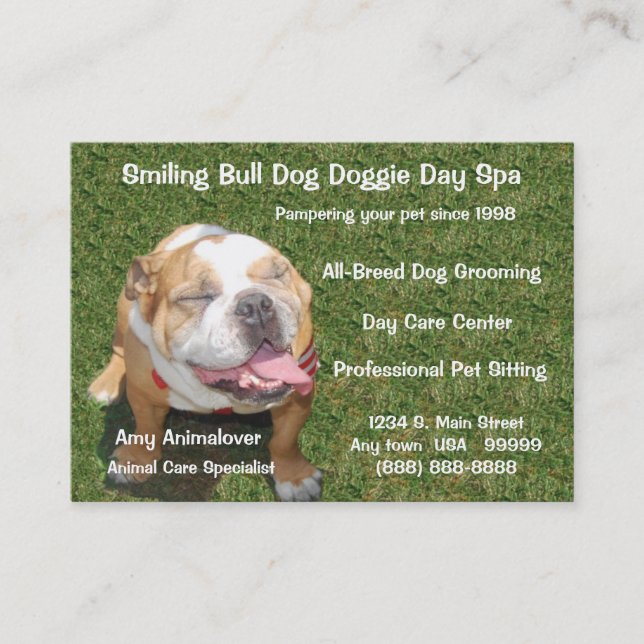 Day Spa And Appointment Card (Front)