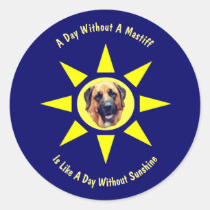 Day Without A Mastiff Dog Lovers Classic Round Sticker