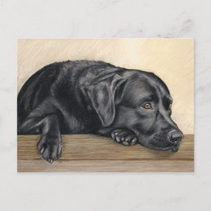 Daydreamer Postcard