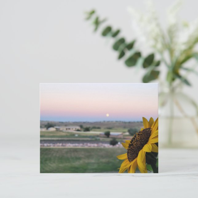 Daydreams at Dusk Sunflower Prarie Postcard (Standing Front)